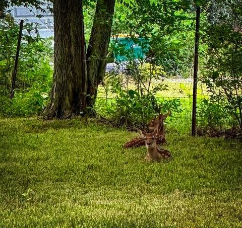 Tiny photo for 710 Short Street, Streator, IL 61364 (MLS # 12500198)