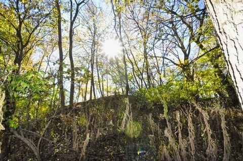 Tiny photo for 710 Short Street, Streator, IL 61364 (MLS # 12500198)