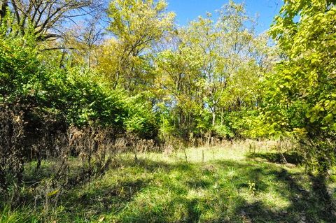 Tiny photo for 710 Short Street, Streator, IL 61364 (MLS # 12500198)