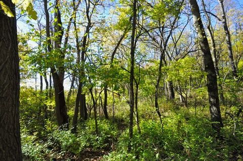 Tiny photo for 710 Short Street, Streator, IL 61364 (MLS # 12500198)