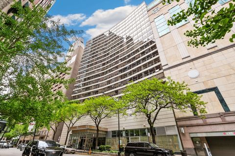 110 E Delaware Place 704 Chicago IL 60611