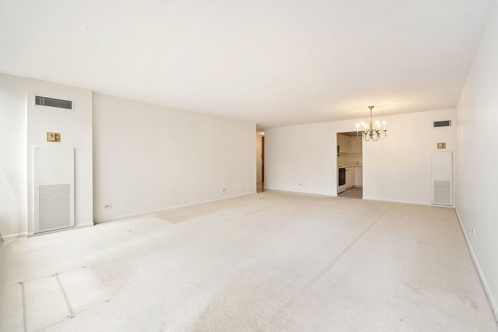 110 E Delaware Place 704