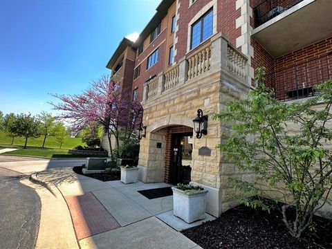 A home in Orland Park