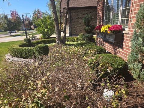 Tiny photo for 12348 TAHOE Lane, Mokena, IL 60448 (MLS # 12791071)