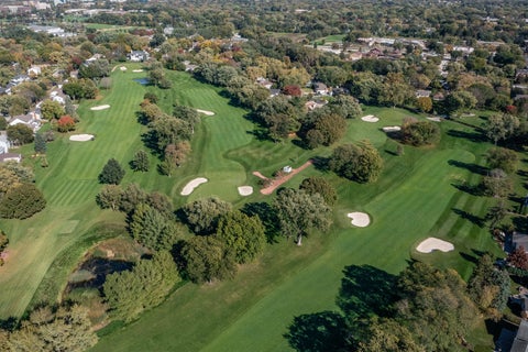 Tiny photo for 729 Burning Tree Lane, Naperville, IL 60563 (MLS # 12797686)