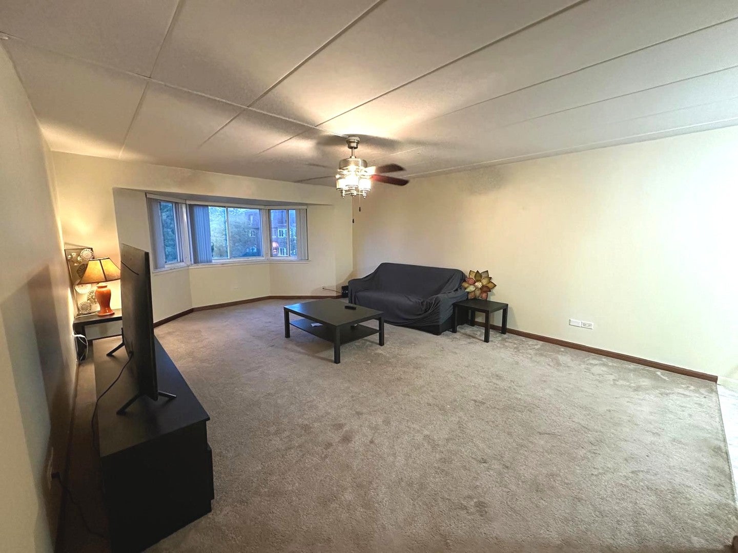 300 Roselle Road 419