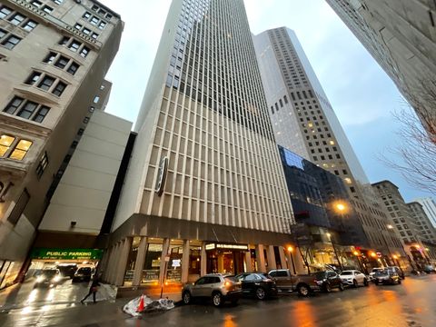 100 E Walton Street 27B Chicago IL 60611