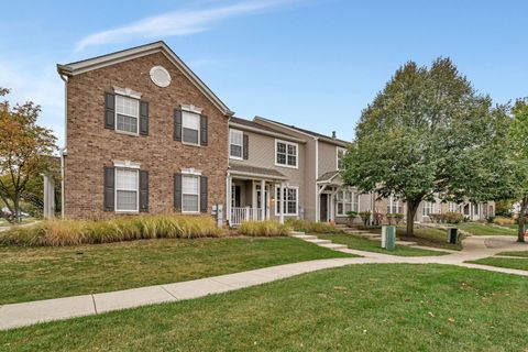 235 Springbrook Trail Oswego IL 60543