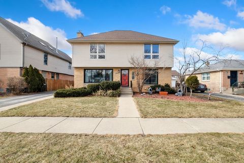 8206 Mango Avenue Morton Grove IL 60053