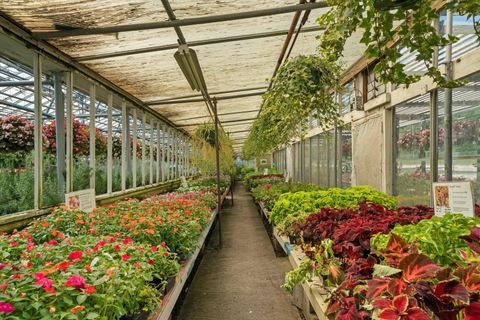 Tiny photo for 7117 S Roberts Road, Bridgeview, IL 60455 (MLS # 12434218)