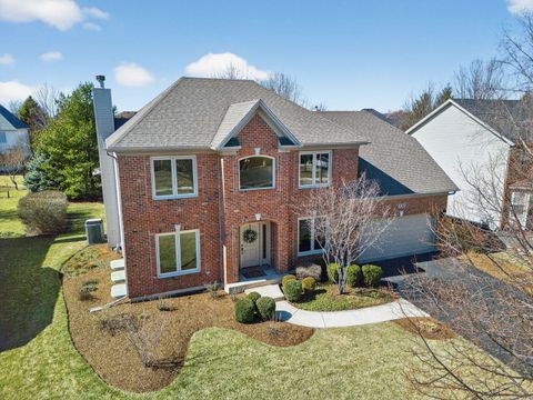 12542 Larkspur Lane Plainfield IL 60585