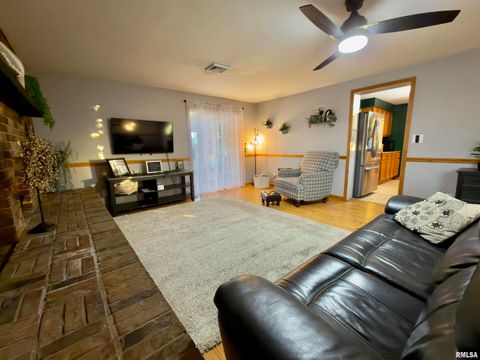 Tiny photo for 222 HICKORY Street, Flora, IL 62839 (MLS # EB460561)