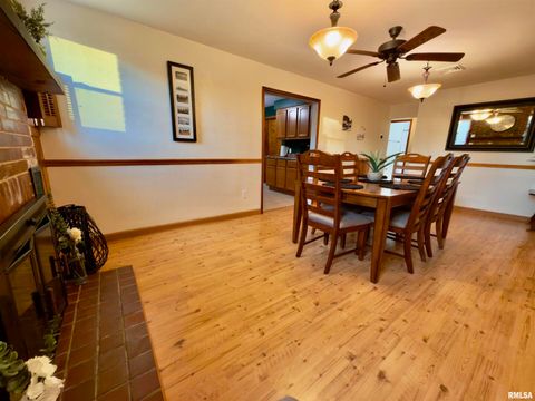 Tiny photo for 222 HICKORY Street, Flora, IL 62839 (MLS # EB460561)