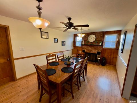 Tiny photo for 222 HICKORY Street, Flora, IL 62839 (MLS # EB460561)