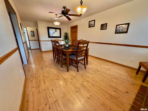 Tiny photo for 222 HICKORY Street, Flora, IL 62839 (MLS # EB460561)