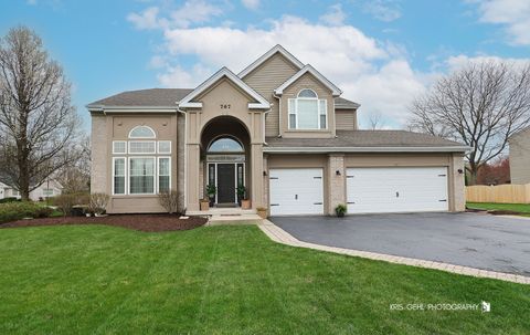 767 Lipizzan Lane Wauconda IL 60084