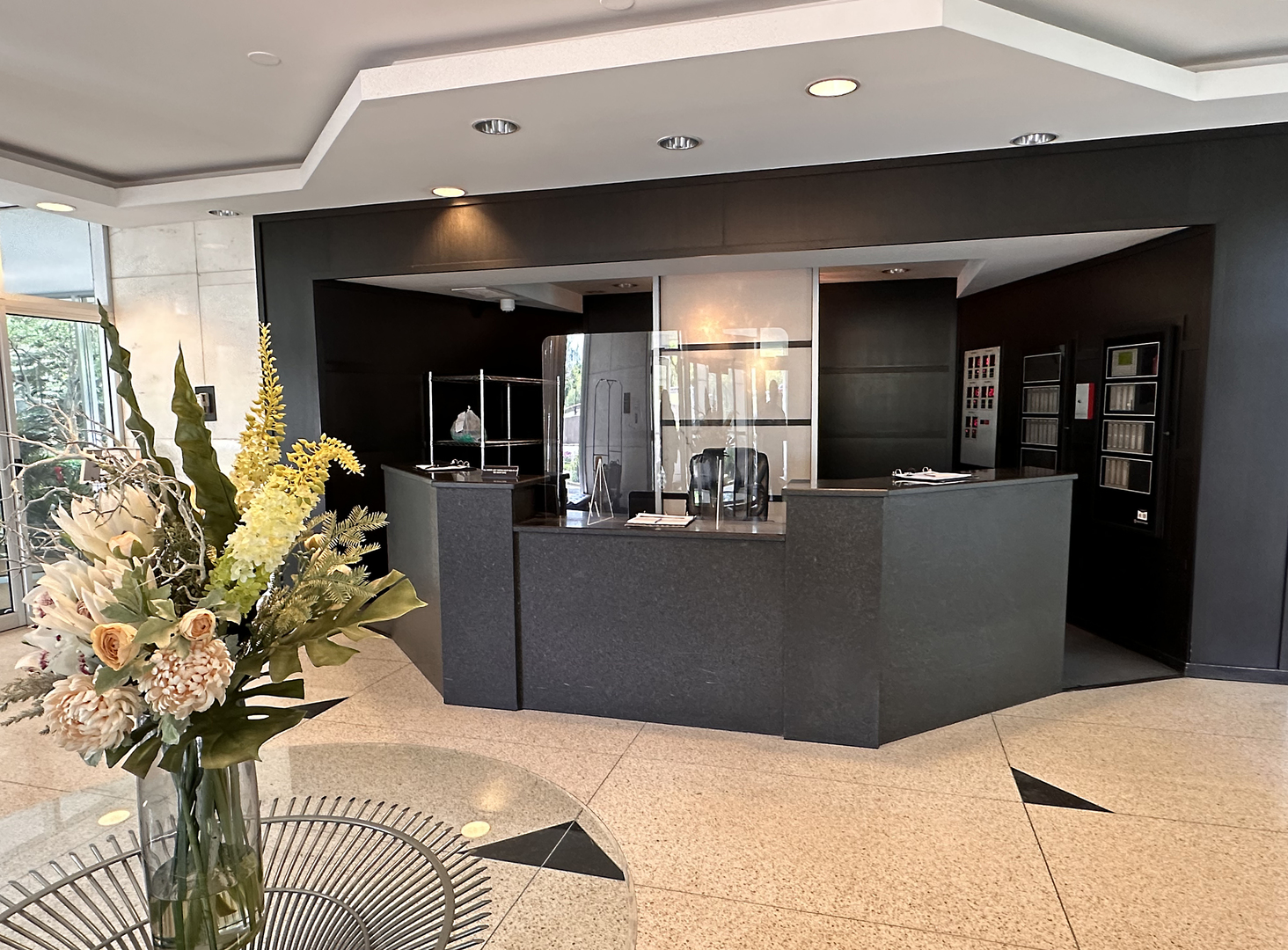 3950 N Lake Shore Drive 1207