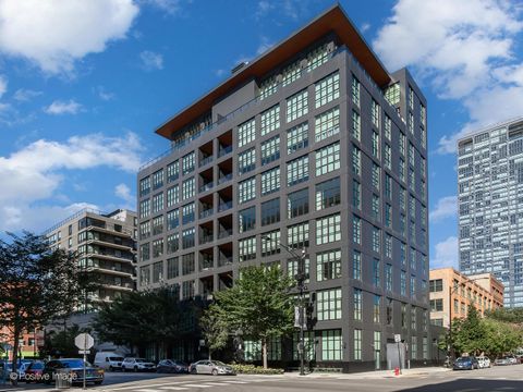 900 W Washington Boulevard 302 Chicago IL 60607