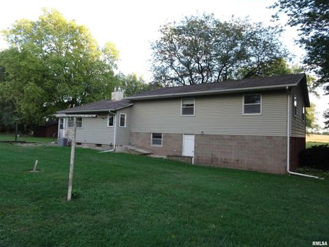 Tiny photo for 13978 N 2200 Avenue, Geneseo, IL 61254 (MLS # QC4267711)