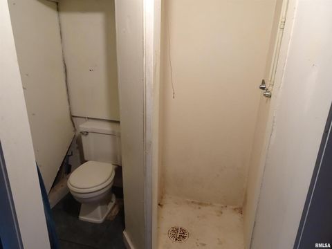 Tiny photo for 13978 N 2200 Avenue, Geneseo, IL 61254 (MLS # QC4267711)