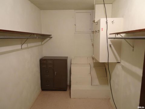 Tiny photo for 13978 N 2200 Avenue, Geneseo, IL 61254 (MLS # QC4267711)