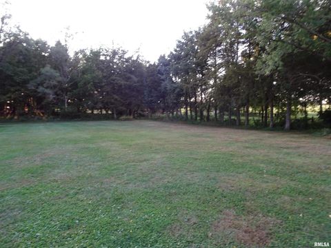 Tiny photo for 13978 N 2200 Avenue, Geneseo, IL 61254 (MLS # QC4267711)