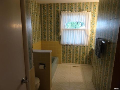 Tiny photo for 13978 N 2200 Avenue, Geneseo, IL 61254 (MLS # QC4267711)