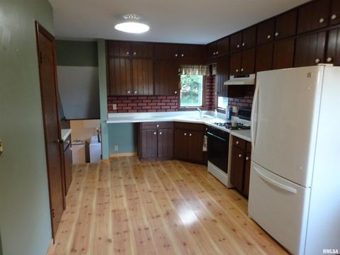 Tiny photo for 13978 N 2200 Avenue, Geneseo, IL 61254 (MLS # QC4267711)