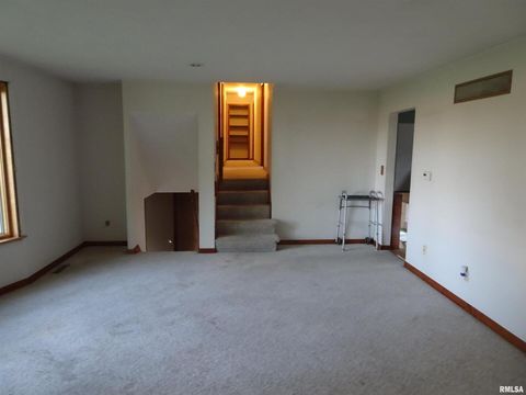 Tiny photo for 13978 N 2200 Avenue, Geneseo, IL 61254 (MLS # QC4267711)