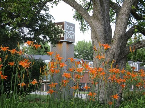 Photo of 850 Exeter Turn #850, Bourbonnais, IL 60914 (MLS # 12412887)