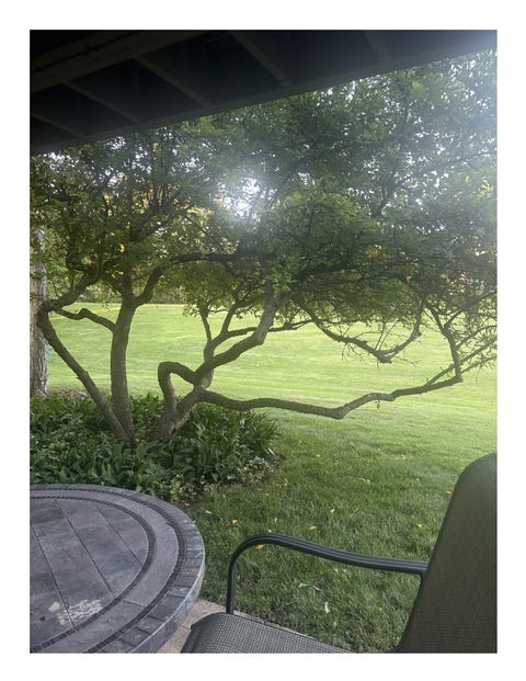 Tiny photo for 1249 Oak Hill Road #CONDO, Lake Barrington, IL 60010 (MLS # 12709273)