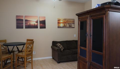 Tiny photo for 1415 S LAKESHORE Drive S, Goreville, IL 62939 (MLS # EB460567)