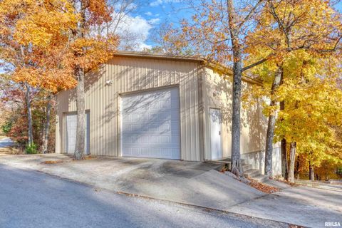 Tiny photo for 1415 S LAKESHORE Drive S, Goreville, IL 62939 (MLS # EB460567)