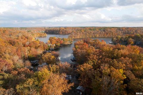 Tiny photo for 1415 S LAKESHORE Drive S, Goreville, IL 62939 (MLS # EB460567)