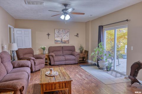 Tiny photo for 1415 S LAKESHORE Drive S, Goreville, IL 62939 (MLS # EB460567)