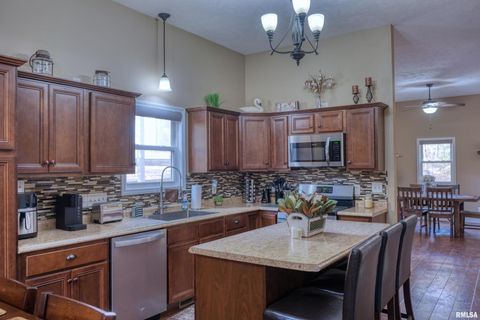 Tiny photo for 1415 S LAKESHORE Drive S, Goreville, IL 62939 (MLS # EB460567)