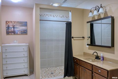 Tiny photo for 1415 S LAKESHORE Drive S, Goreville, IL 62939 (MLS # EB460567)