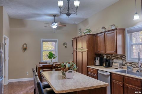 Tiny photo for 1415 S LAKESHORE Drive S, Goreville, IL 62939 (MLS # EB460567)