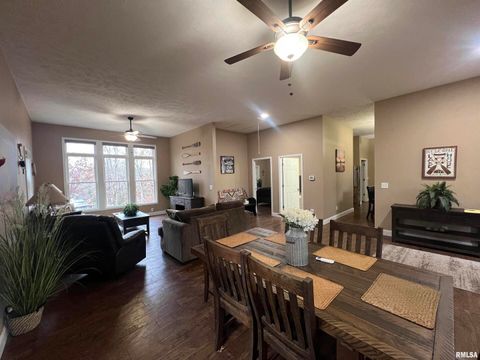 Tiny photo for 1415 S LAKESHORE Drive S, Goreville, IL 62939 (MLS # EB460567)