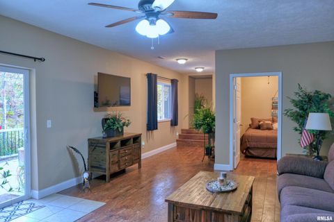 Tiny photo for 1415 S LAKESHORE Drive S, Goreville, IL 62939 (MLS # EB460567)