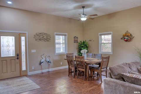 Tiny photo for 1415 S LAKESHORE Drive S, Goreville, IL 62939 (MLS # EB460567)