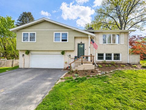 1214 Jill Peak Drive, Sleepy Hollow, IL 60118 - #: 12614863