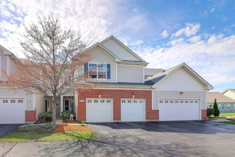 212 Dorset Avenue Oswego IL 60543