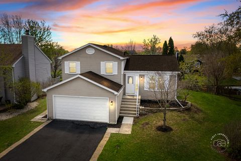 2717 Briarwood Court Woodridge IL 60517