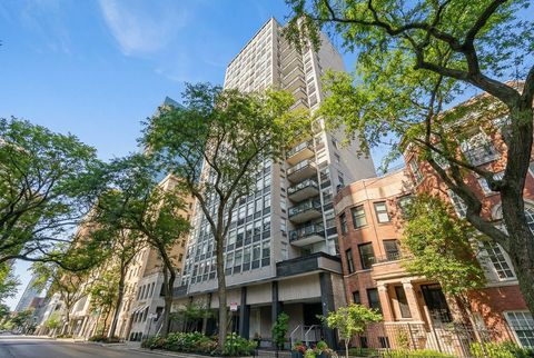Photo of 30 E Elm Street #20G, Chicago, IL 60611 (MLS # 12571659)