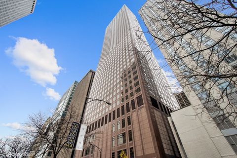 161 E Chicago Avenue 31E Chicago IL 60611