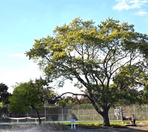 Tiny photo for 1117 S Old Wilke Road #206, Arlington Heights, IL 60005 (MLS # 12479468)