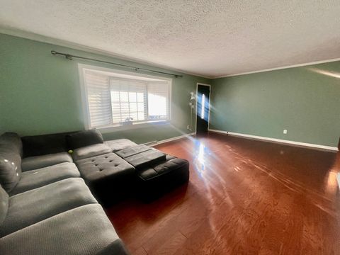 Tiny photo for 209 Baker Drive, Metropolis, IL 62960 (MLS # 12551519)