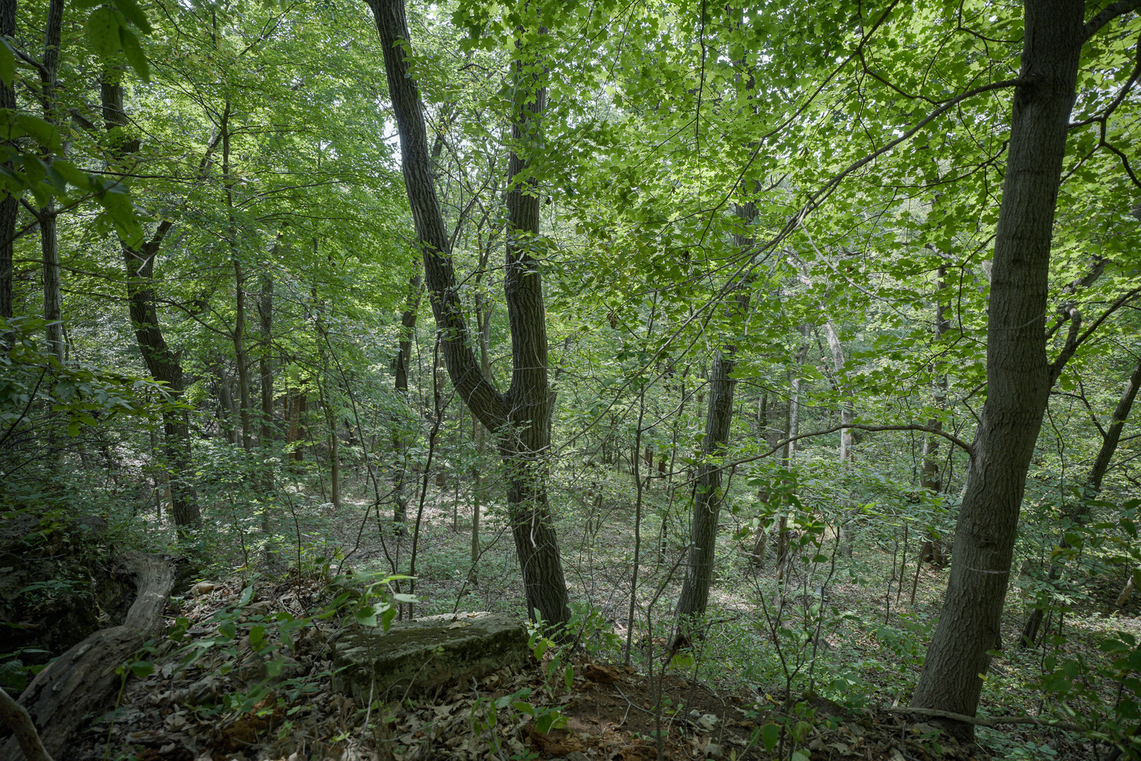 4820 Kopper Pond Road