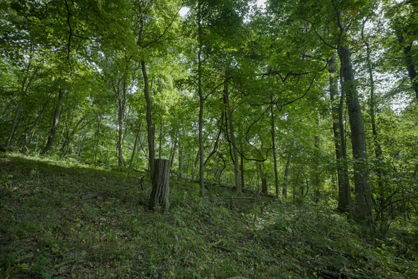 4820 KOPPER POND RD, HANOVER, IL 61041 - Image 2ea3a3704f2136deafcab8c9b6567dfc/3825131752